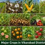 Major Crops in Vikarabad District